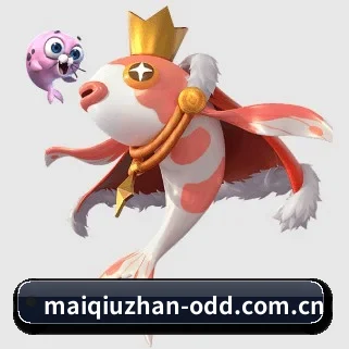 买球站 APP
